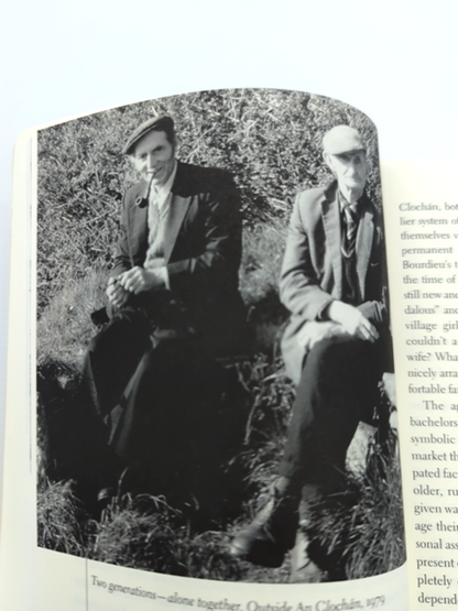 Saints, Scholars, And Schizophrenics Mental Illness In Rural Ireland, Twentieth by Nancy Scheper-Hughes