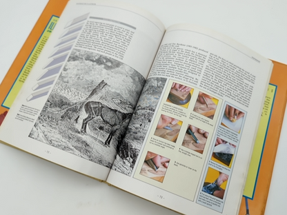 An Introduction to Illustration by Brian Lewis, Art Instruction by Brian Lewis