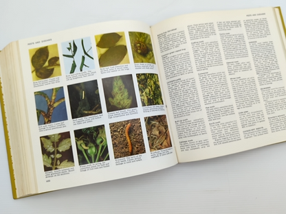 The Gardening Year by Roy Hay (ed) (Hardcover, 1974) by Roy Hay (Ed)