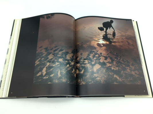 The Human Condition: Photojournalism 95 by Susan Bright (Hardcover, 1996) 1st Ed by Susan Bright