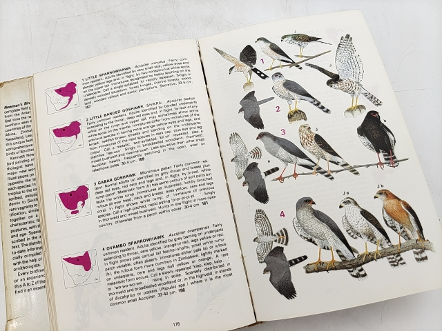 Newman's Birds Of Southern Africa by Kenneth Newman, SIGNED, Birdwatching by "Ian Sinclair Kenneth Newman"