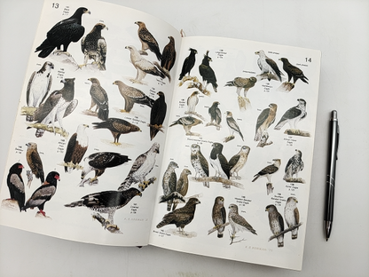 Roberts Birds Of Southern Africa by Austin Roberts, 891 Species! SIGNED by Gordon Lindsay Maclean Austin Roberts