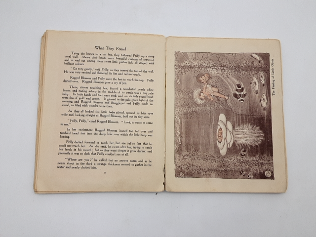 Little Ragged Blossom & More About Snugglepot & Cuddlepie May Gibbs 1920 1st Ed by May Gibbs