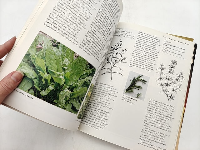 Herbs For Your Garden by Louise Egerton, Herbary Gardening Book by Louise Egerton