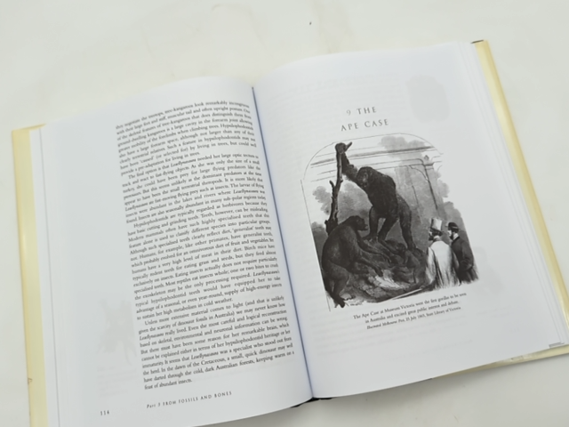 Continent Of Curiosities: Journey Through Australian Natural History, Danielle C by Danielle Clode