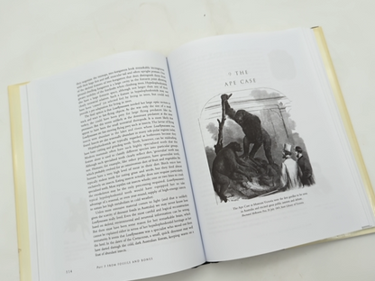 Continent Of Curiosities: Journey Through Australian Natural History, Danielle C by Danielle Clode