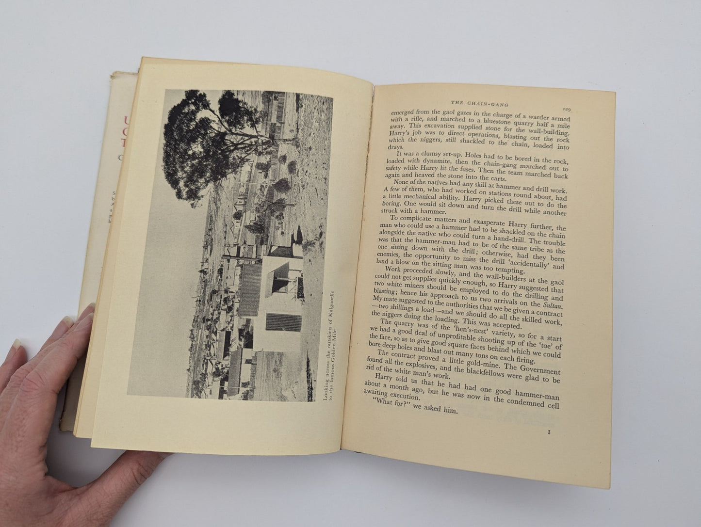The Coolibah Tree G.F. Young 1st Ed. 1953 Vintage Hardcover Historical Fiction by G F Young