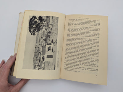 The Coolibah Tree G.F. Young 1st Ed. 1953 Vintage Hardcover Historical Fiction by G F Young