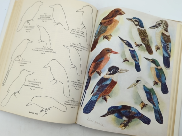 Birds Of New Guinea by Tom Iredale (Hardcover, Volume 1, 1956) 1st Edition by Tom Iredale