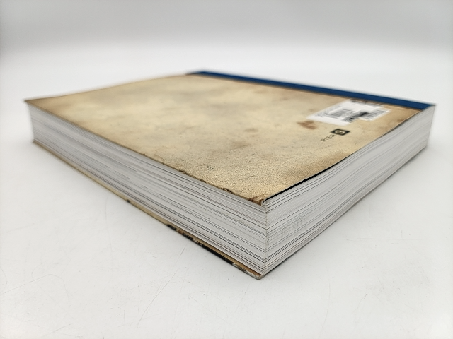 History's Great Untold Stories Obscure Events of Lasting Importance, Joesph Cumm by Joesph Cummins