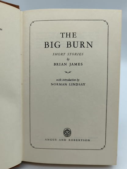 The Big Burn: Short Stories by Brian James (Hardcover, 1965) 1st Edition Vintage by Brian James