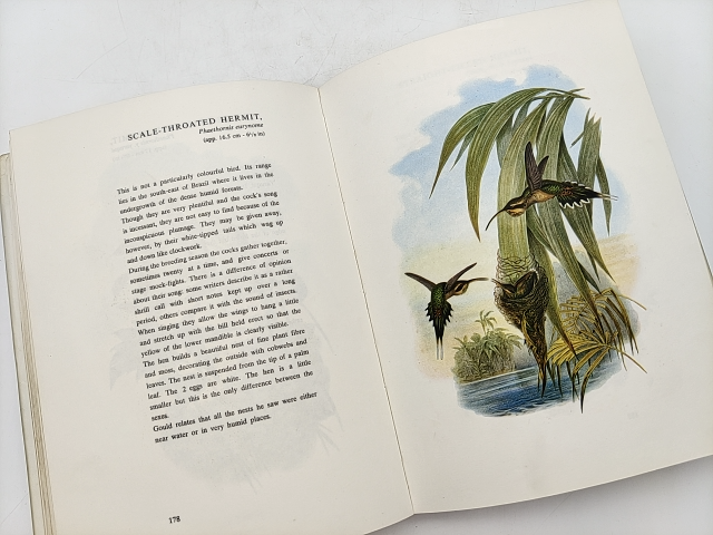 Birds Of South America by John Gould, Abram Rutgers Illustrated 1972 by "Abram Rutgers John Gould"