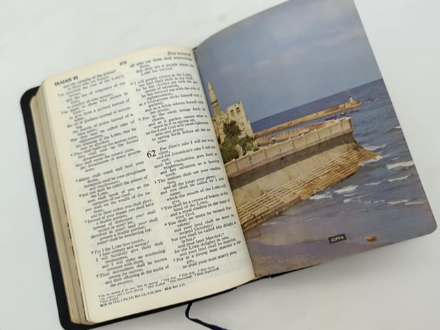The Holy Bible by National Council of Churches of Christ (Leather, 1996) by National Council Of Churches Of Christ