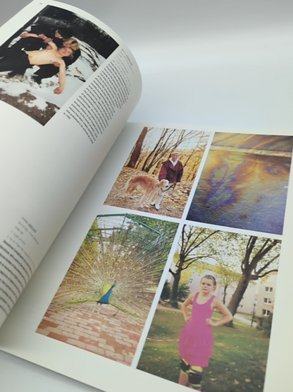 Art and Photography by David Campany (Paperback, 2012) 0714863920 by David Campany