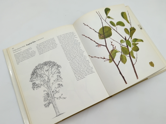 British Trees In Colour by Charles Raymond Cyril Hart (Hardcover, 1977) unknown by Charles Raymond Cyril Hart