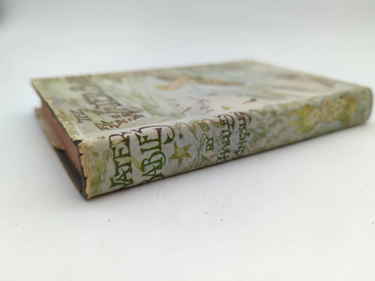 The Water Babies by Charles Kingsley (Hardcover, 1960) Illustrated by Charles Kingsley
