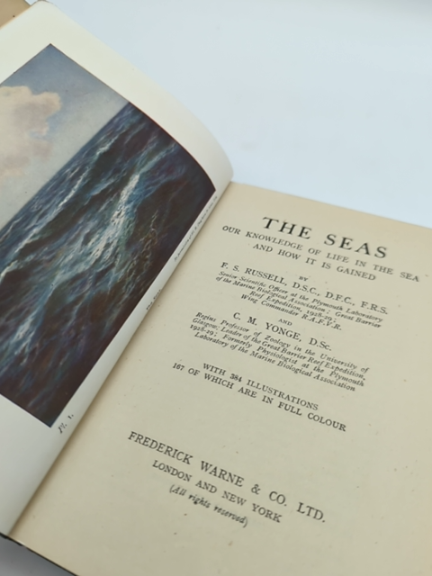The Seas: Our Knowledge of Life in the Sea and How it is Gained by C M Yonge by C M Yonge