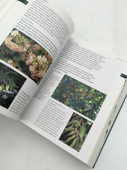 Botanica's Pocket Trees And Shrubs by Anna Cheifet, Botany by Anna Cheifet