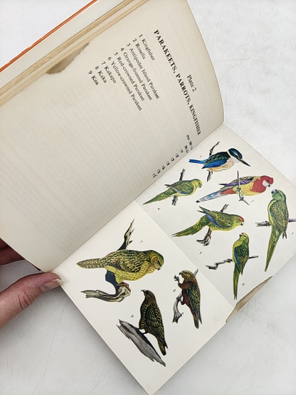 Field Guide To The Birds Of New Zealand by R.B. Sibson & E.G. Turbott Falla R.A. by R.B. Sibson & E.G. Turbott Falla R.A.