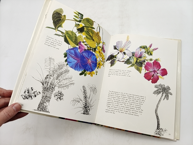 Melbourne Is Garden by Jean Gray (Hardcover, 1983) 1st Edition Gardening by Jean Gray