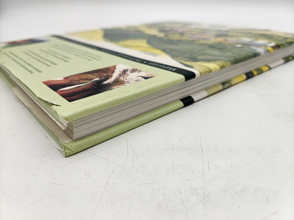 The Complete Watercolour Artist by Sally Harpe (Hardcover, 2001) by Sally Harper