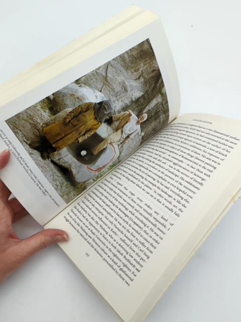 Hang-ups: Essays On Painting (mostly) by Simon Schama, Art Criticism by Simon Schama