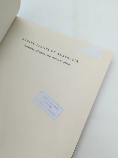 Alpine Plants Of Australia Including Subalpine And Montane Plants, Thistle Yolet by Thistle Yolette Harris