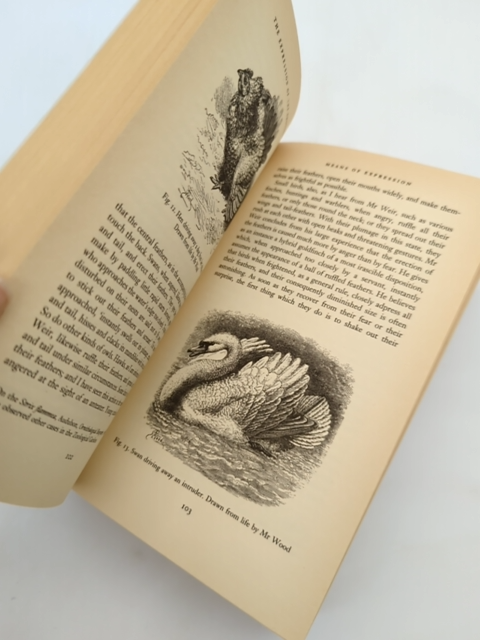 The Expression Of The Emotions In Man And Animals by Charles Darwin & Paul Ekman by Charles Darwin