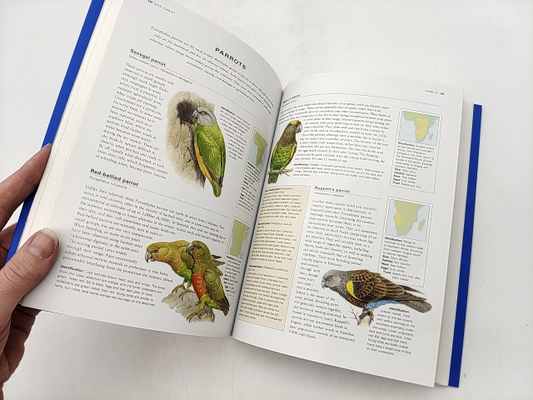 The New Encyclopedia Of British, European African Birds: An Illustrated Guide An by David Alderton
