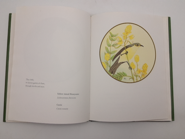 A Burble Of Birds by Judy Wilford (Hardcover, 1992) 1st Edition, Birdwatching