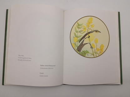 A Burble Of Birds by Judy Wilford (Hardcover, 1992) 1st Edition, Birdwatching