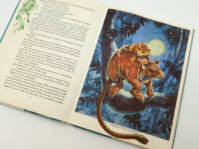 The Story Of Russ The Australian Tree Kangaroo by Leslie Rees (Hardcover, 1983) by Leslie Rees