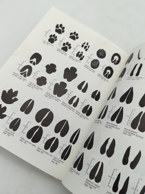 Field Guide To Mammals Of Southern Africa, Wildlife Lions Cheetahs Elephants by Tilde Stuart Chris Stuart