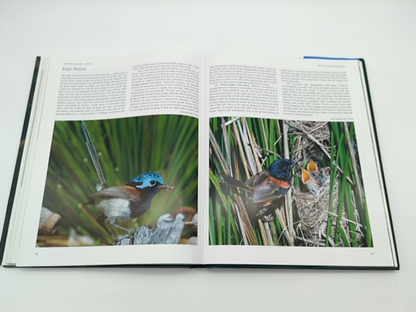 The Encyclopedia of Birds by Author Not Stated (Hardcover, 2021) 140549851X by Unknown