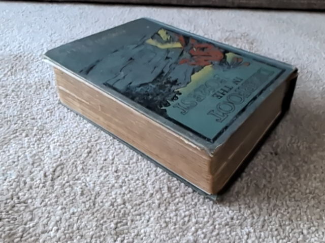 Deerfoot In The Forest by Edward S Ellis (Hardcover, 1905) Americana by Edward S Ellis
