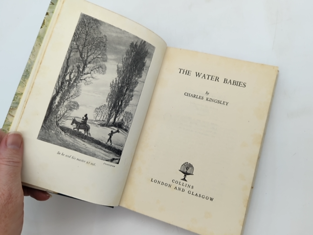 The Water Babies by Charles Kingsley (Hardcover, 1960) Illustrated by Charles Kingsley