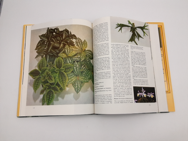 Woman's Day All Colour Guide To Houseplants by Shirley Stackhouse, House Plants by Shirley Stackhouse