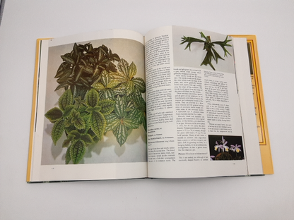 Woman's Day All Colour Guide To Houseplants by Shirley Stackhouse, House Plants by Shirley Stackhouse