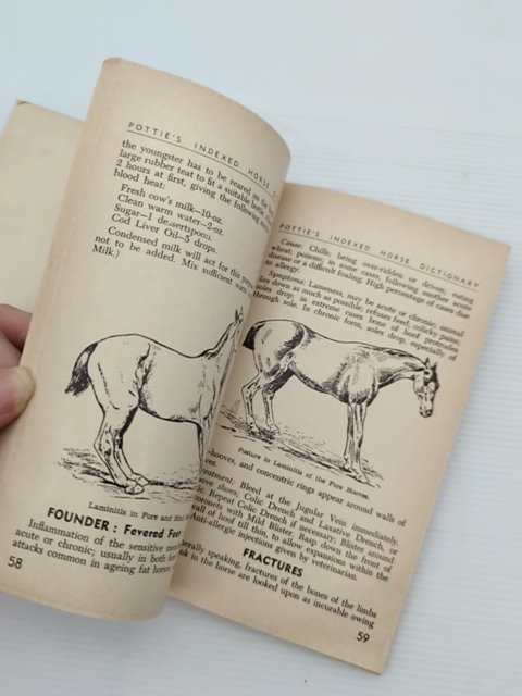 Pottie's Horse Dictionary by John Pottie (Paperback, 1972) by John Pottie