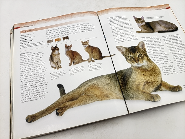 Encyclopedia Of Cats by Candida Frith-Macdonald (Paperback, 2008) Me-ow! by Not Available