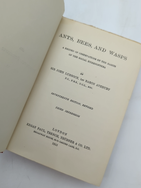 Ants, Bees And Wasps by Sir John Lubbock (Cloth, 1915) Natural History by Sir John Lubbock
