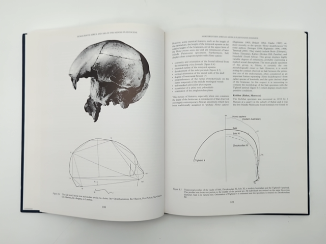 Human Roots: Africa & Asia In The Middle Pleistocene, Kate Robson-Brown, Rare by Larry Barham, Kate Robson-Brown