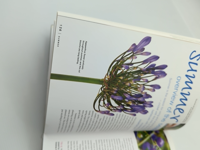 Dig Modern Australian Gardening by Meredith Kirton (Paperback, 2004) Gardening by Meredith Kirton