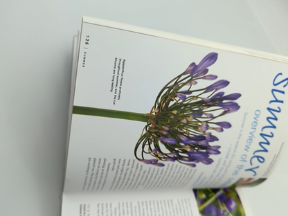 Dig Modern Australian Gardening by Meredith Kirton (Paperback, 2004) Gardening by Meredith Kirton