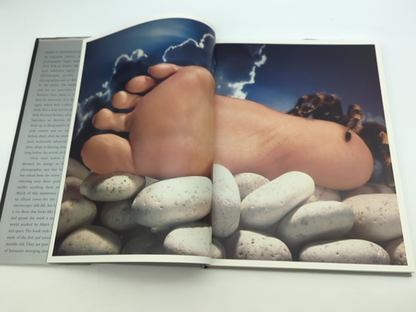 Hiro Photographs by Richard Avedon (Hardcover, 1st Edition, 1999) Photography by Hiro