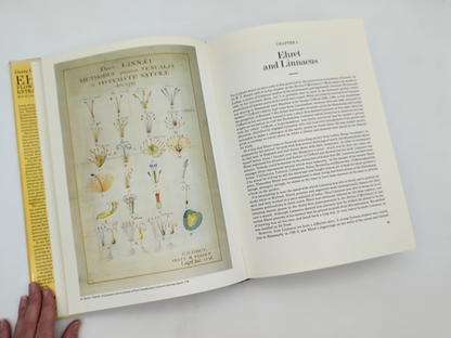 Ehret Flower Painter Extraordinary An Illustrated Biography by Gerta Calmann by Gerta Calmann