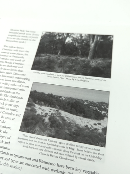 Beyond the Swan: Journey into South-Western Australia's Bush, Cath Drake, Perth by Cath Drake