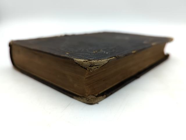 California Life Illustrated, William Taylor (1858) Rare Early America History by William Taylor
