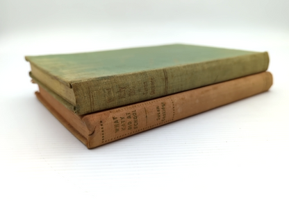 Susan Coolidge Hardcover Bundle What Katy Did; What Katy Did At School by Susan Coolidge