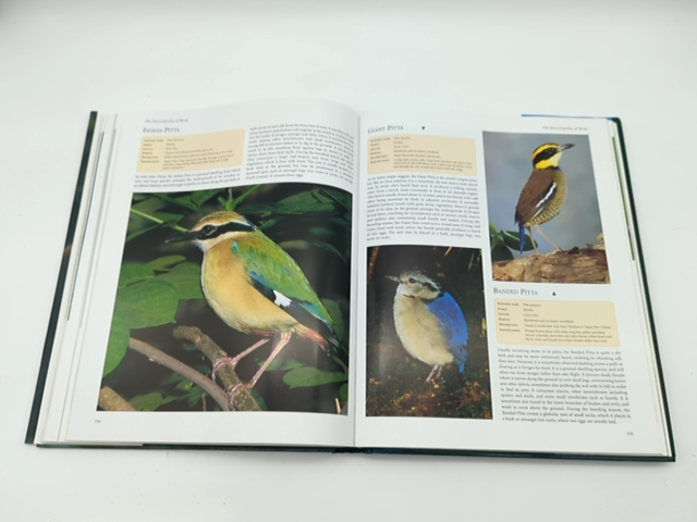 The Encyclopedia of Birds by Author Not Stated (Hardcover, 2021) 140549851X by Unknown